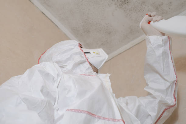Best Crawl Space Mold Remediation in Wamego, KS